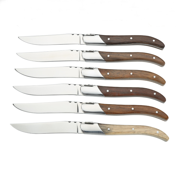 High Quality Stainless Steel  Mirror Polished Dinner Knifes laguiole steak knife  of  6 pcs set