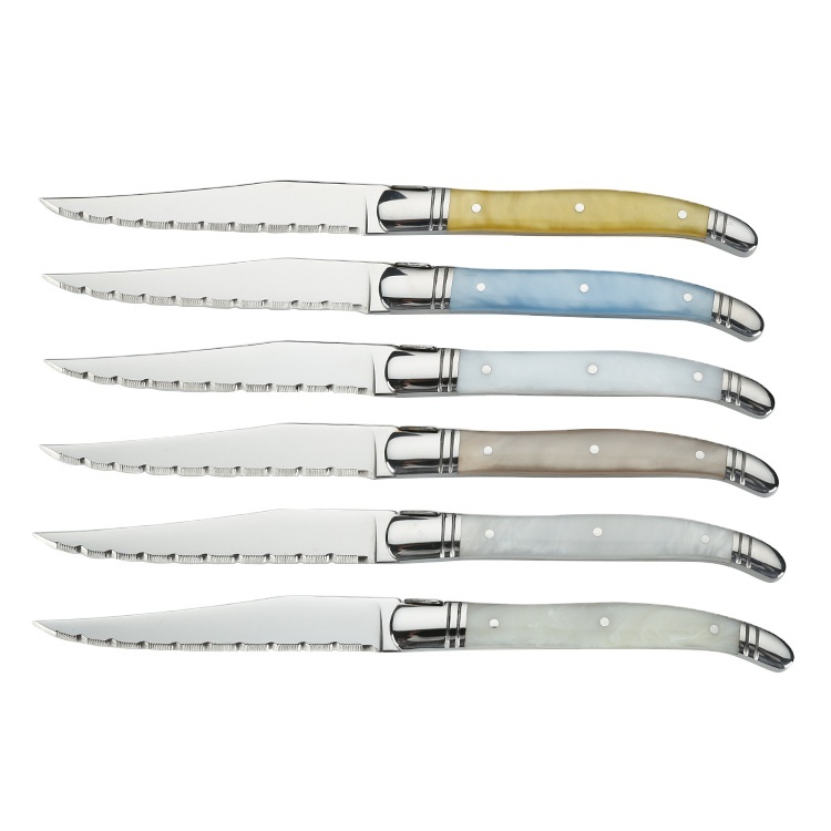 Acrylic handle Luxury laguiole steak knife