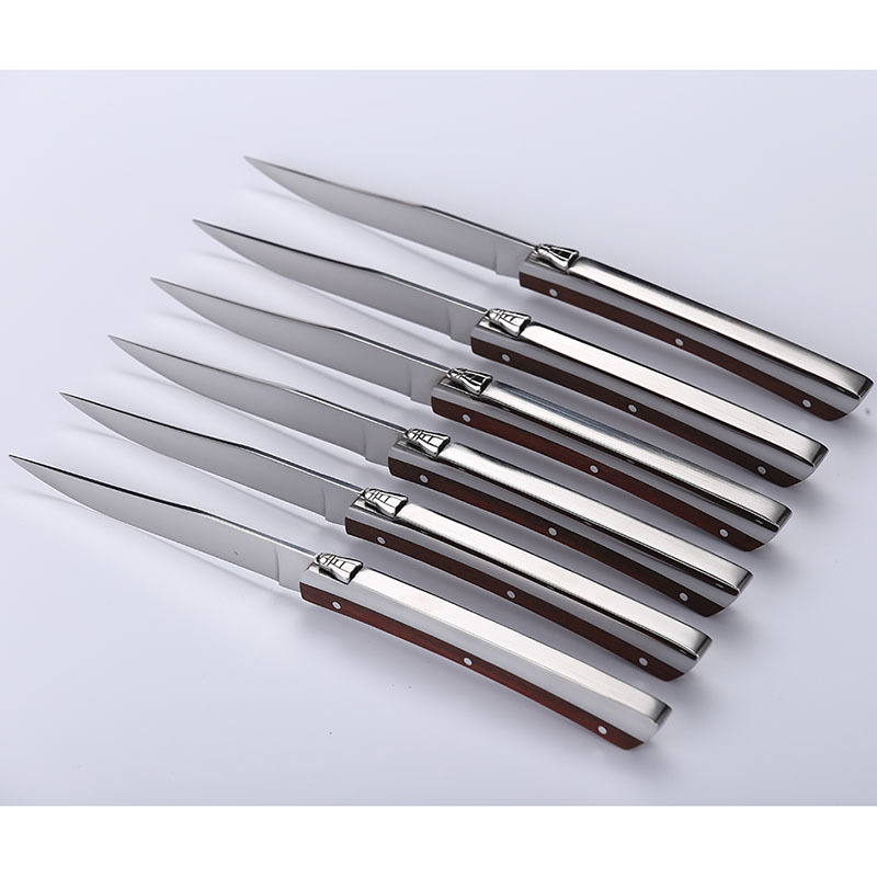 2021 Amazon hot selling france laguiole stainless steel 6pcs steak knife set flatware set cutlery set kitchen utensils