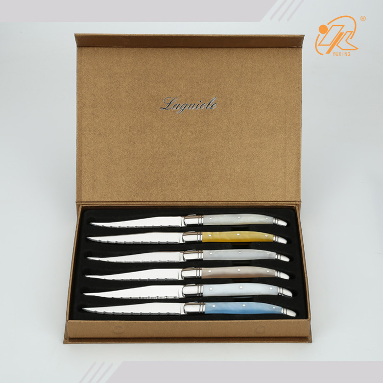 Popular Laguiole factory price acrylic handle steak knives set flatware set cutlery set kitchen accessories with gift box
