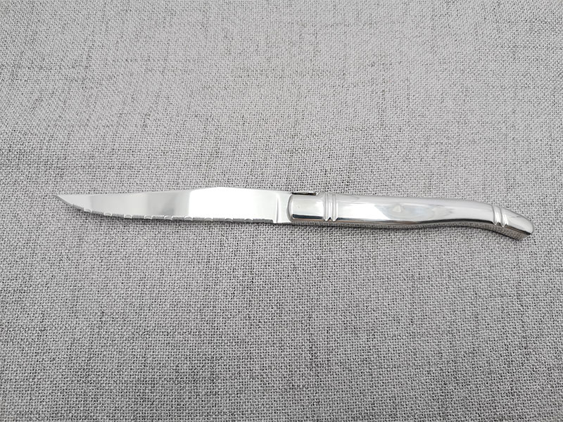 Steak knife with stainless steel handle CH033